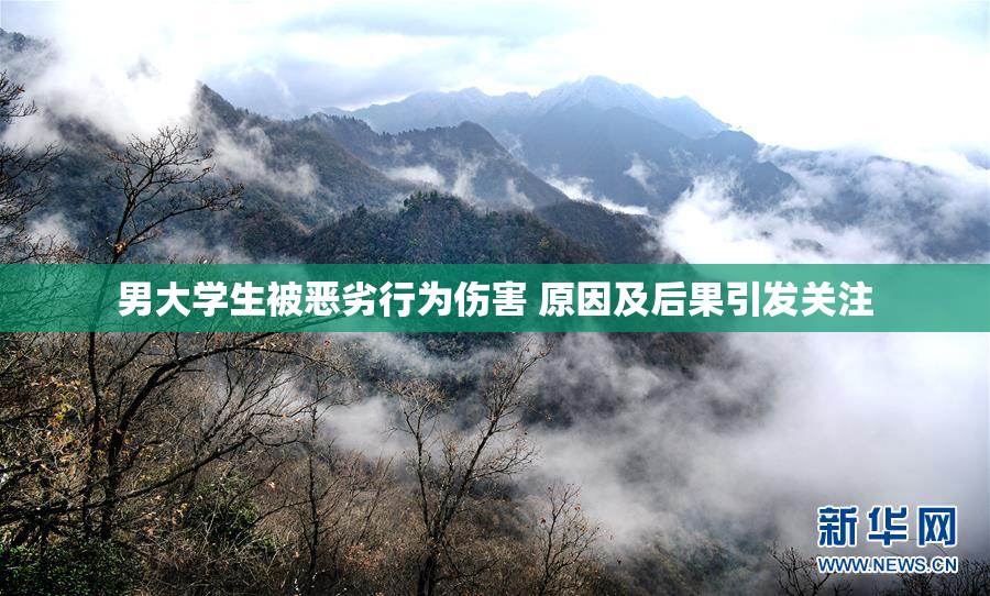 男大学生被恶劣行为伤害 原因及后果引发关注