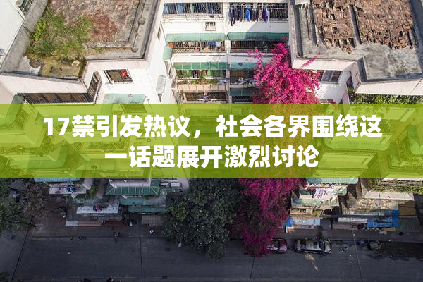 17禁引发热议，社会各界围绕这一话题展开激烈讨论