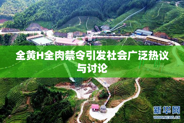 全黄H全肉禁令引发社会广泛热议与讨论