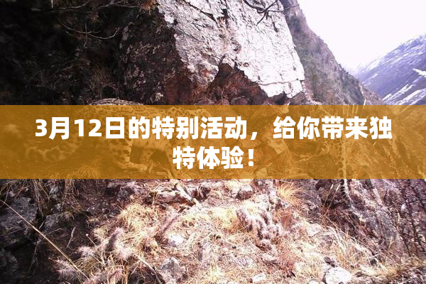 3月12日的特别活动，给你带来独特体验！