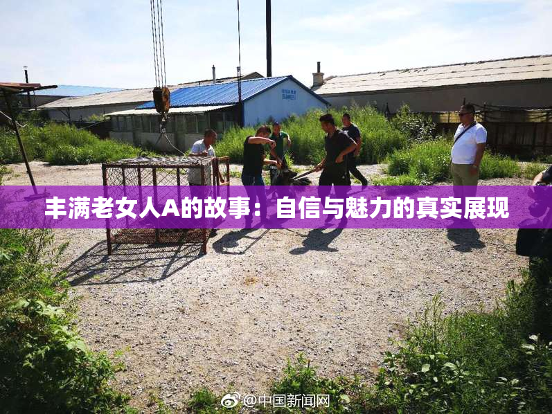 丰满老女人A的故事：自信与魅力的真实展现