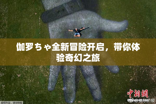 伽罗ちゃ全新冒险开启，带你体验奇幻之旅