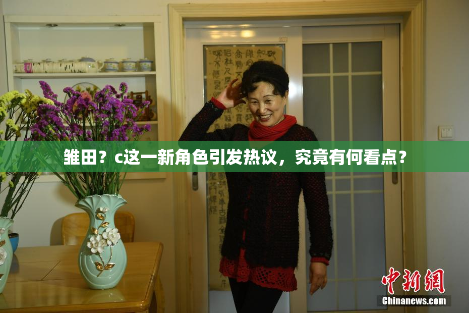 雏田？c这一新角色引发热议，究竟有何看点？