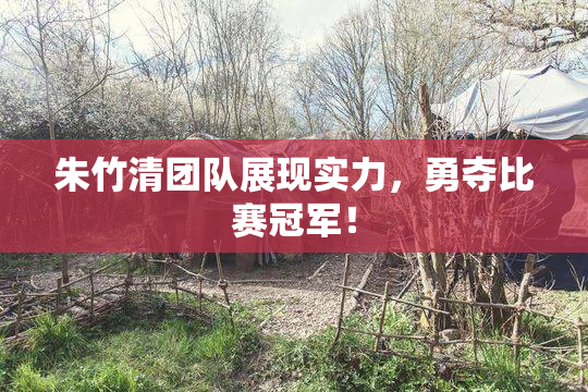朱竹清团队展现实力，勇夺比赛冠军！