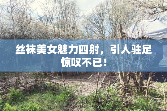 丝袜美女魅力四射，引人驻足惊叹不已！