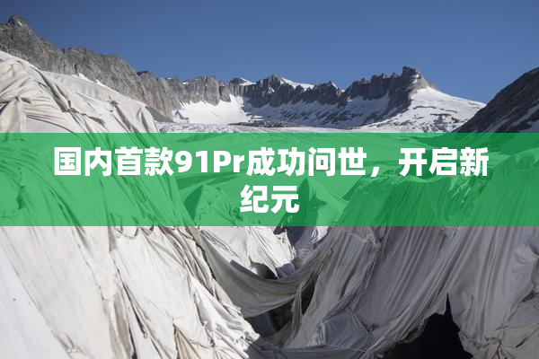 国内首款91Pr成功问世，开启新纪元