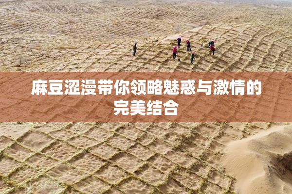 麻豆涩漫带你领略魅惑与激情的完美结合