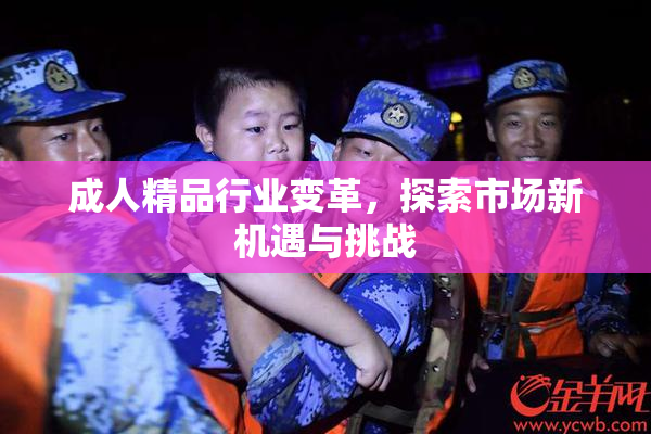 成人精品行业变革，探索市场新机遇与挑战