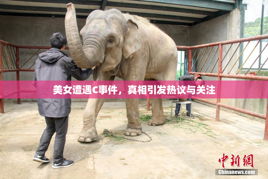 美女遭遇C事件，真相引发热议与关注