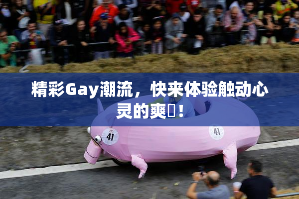 精彩Gay潮流，快来体验触动心灵的爽擼！