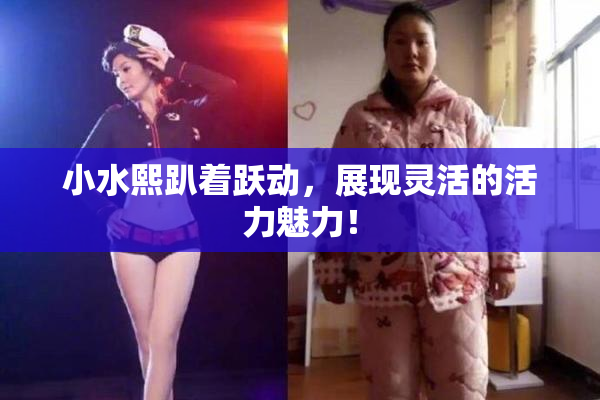 小水熙趴着跃动，展现灵活的活力魅力！