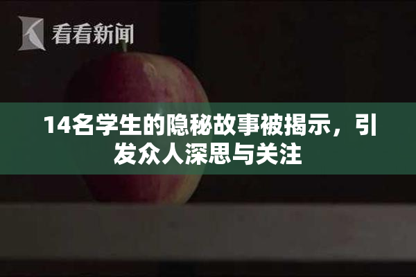 14名学生的隐秘故事被揭示，引发众人深思与关注