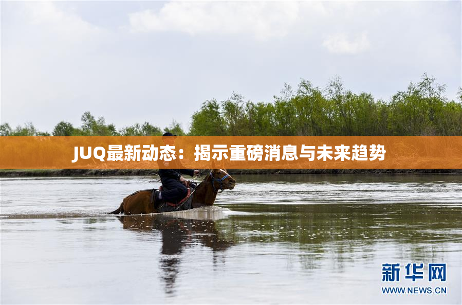 JUQ最新动态：揭示重磅消息与未来趋势