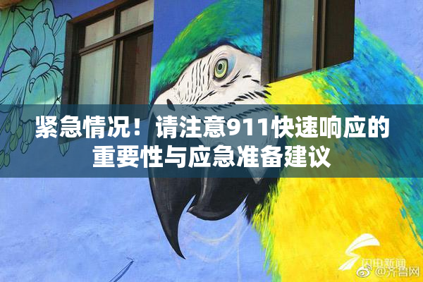 紧急情况！请注意911快速响应的重要性与应急准备建议