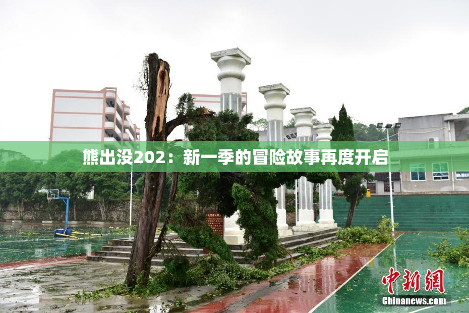 熊出没202：新一季的冒险故事再度开启