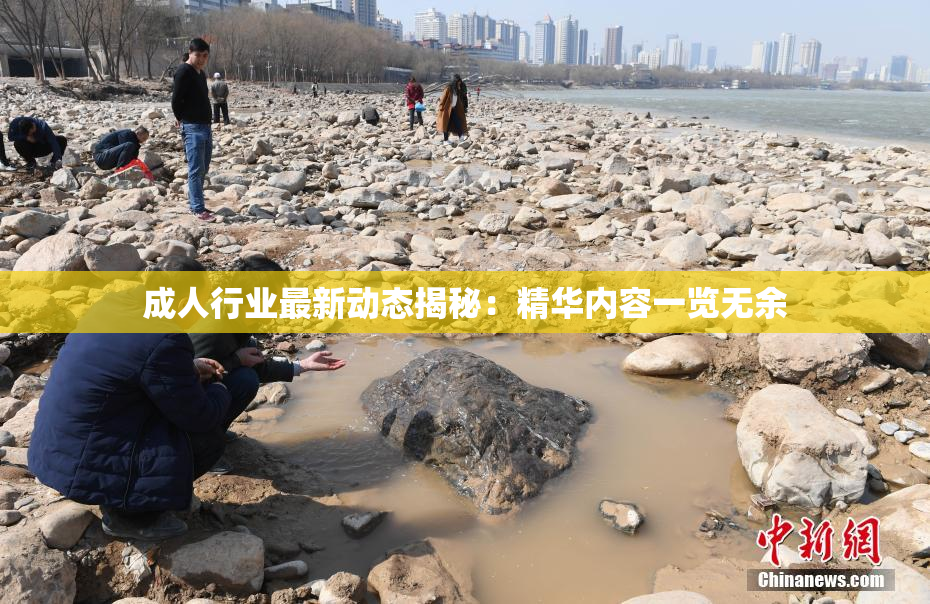 成人行业最新动态揭秘：精华内容一览无余