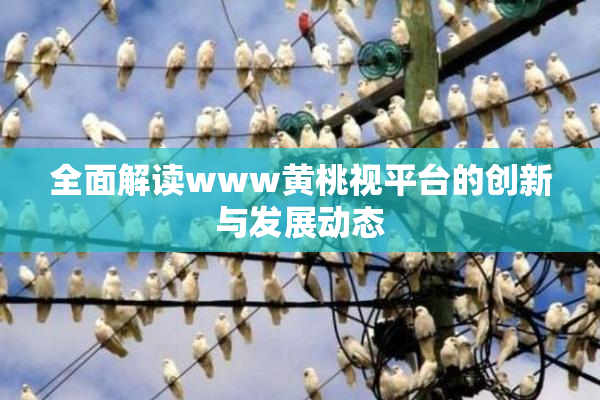 全面解读www黄桃视平台的创新与发展动态