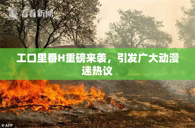 工口里番H重磅来袭，引发广大动漫迷热议