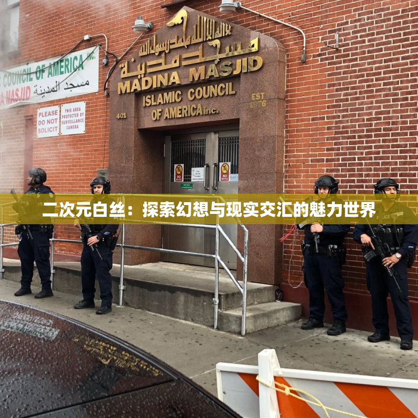 二次元白丝：探索幻想与现实交汇的魅力世界