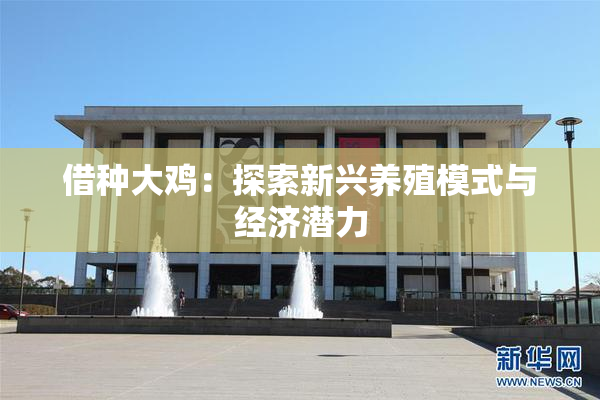 借种大鸡：探索新兴养殖模式与经济潜力
