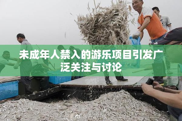 未成年人禁入的游乐项目引发广泛关注与讨论