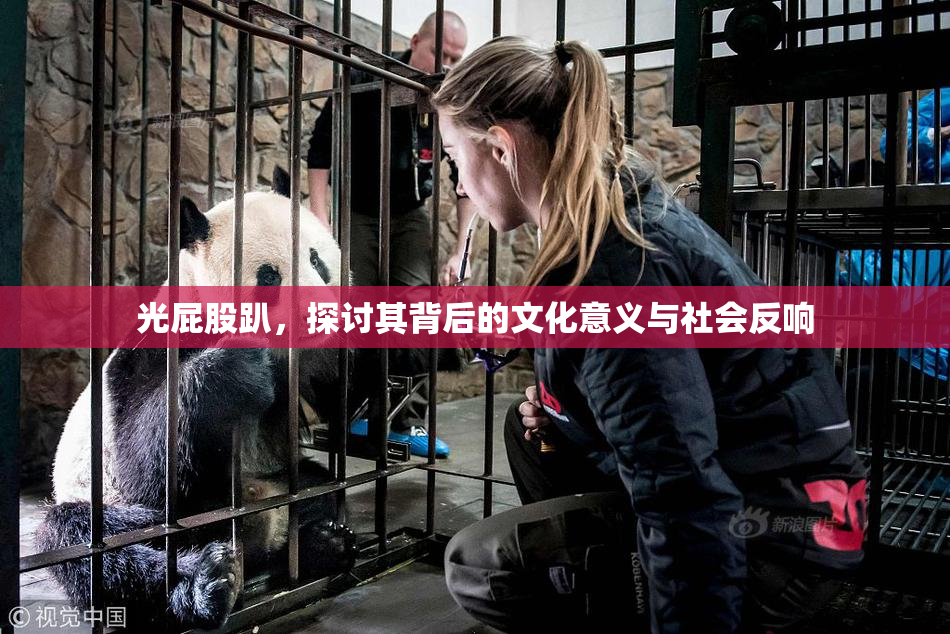 光屁股趴，探讨其背后的文化意义与社会反响