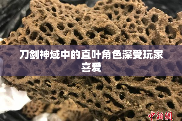 刀剑神域中的直叶角色深受玩家喜爱