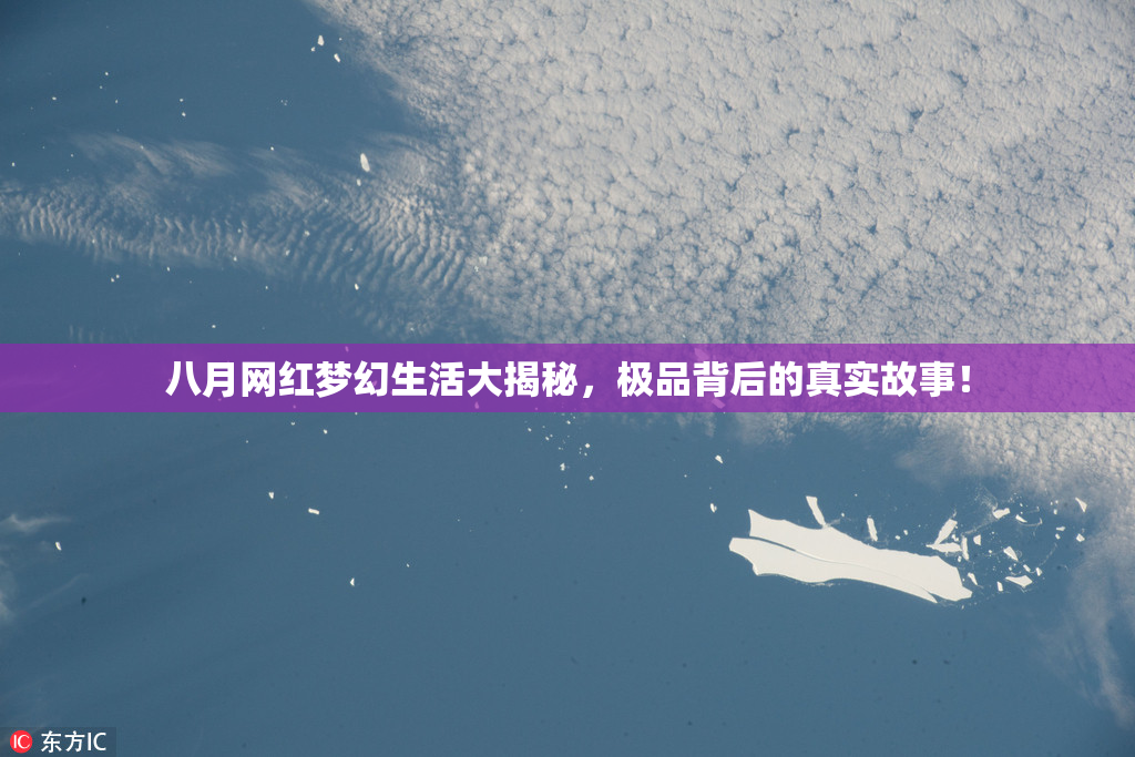 八月网红梦幻生活大揭秘，极品背后的真实故事！