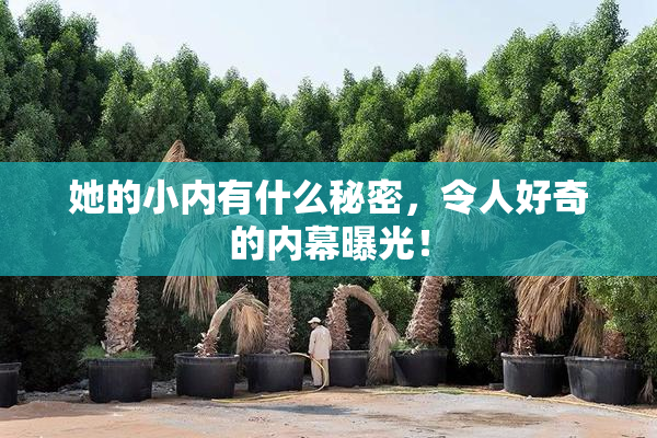 她的小内有什么秘密，令人好奇的内幕曝光！