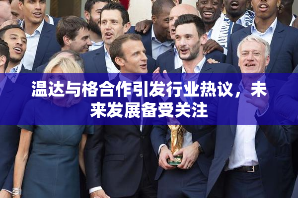 温达与格合作引发行业热议，未来发展备受关注