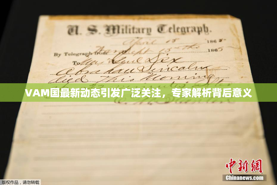 VAM国最新动态引发广泛关注，专家解析背后意义