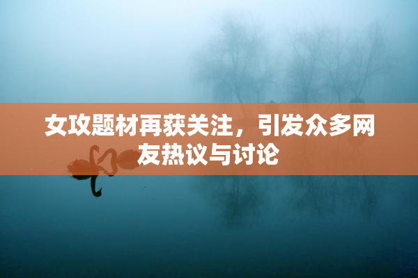 女攻题材再获关注，引发众多网友热议与讨论