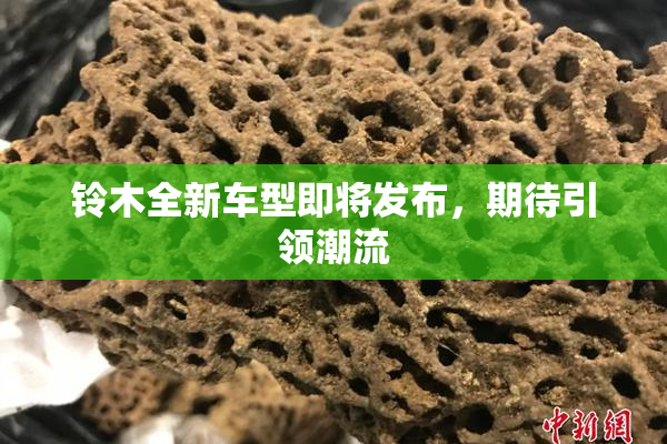 铃木全新车型即将发布，期待引领潮流