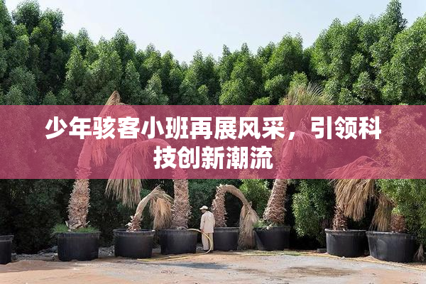 少年骇客小班再展风采，引领科技创新潮流