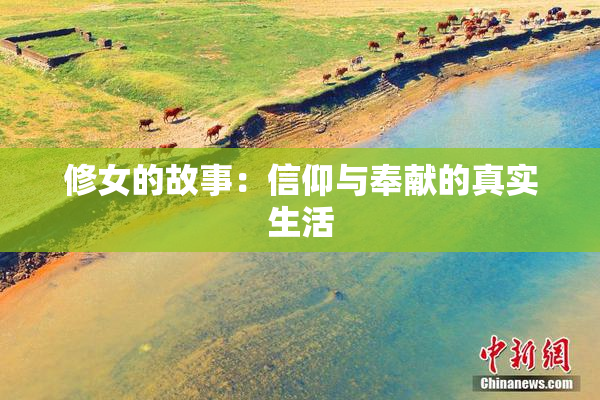 修女的故事：信仰与奉献的真实生活
