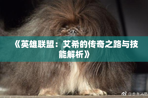 《英雄联盟：艾希的传奇之路与技能解析》