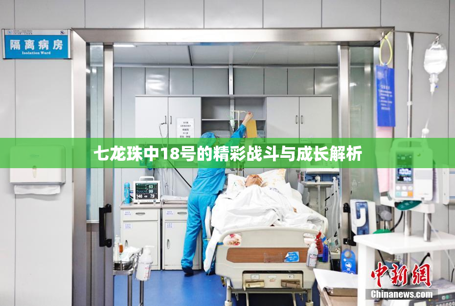 七龙珠中18号的精彩战斗与成长解析
