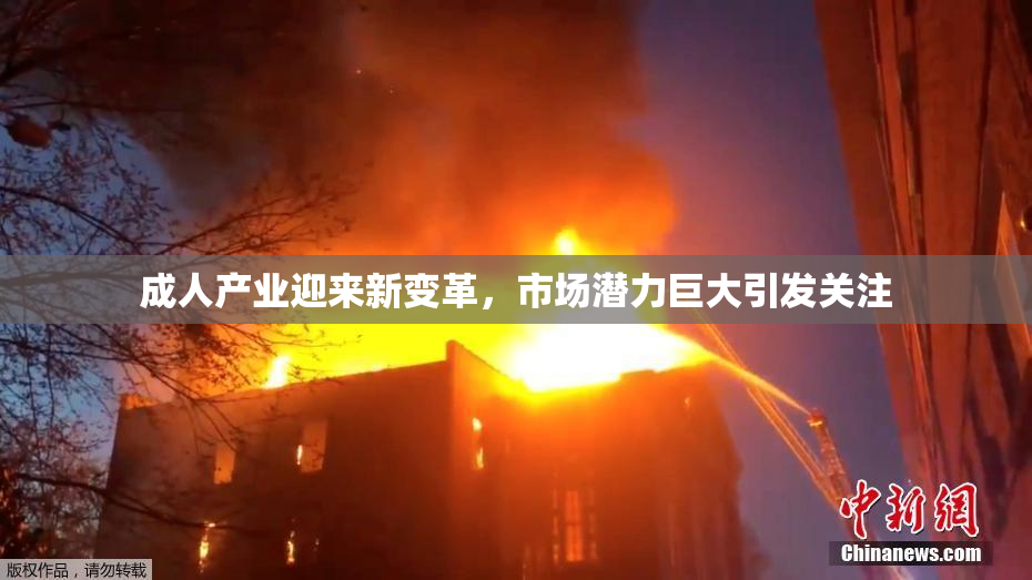 成人产业迎来新变革，市场潜力巨大引发关注