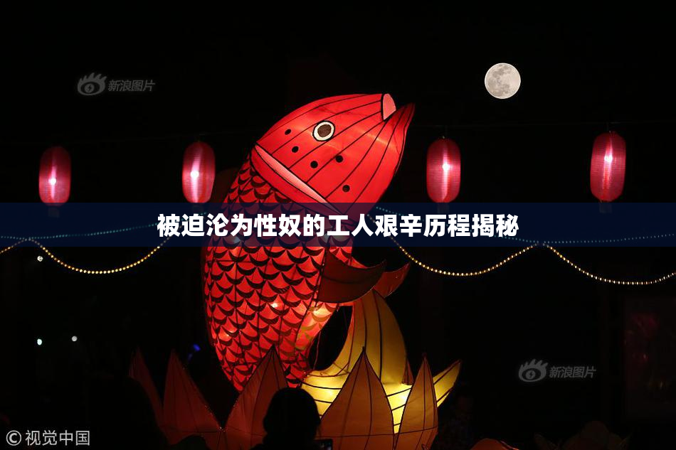 被迫沦为性奴的工人艰辛历程揭秘
