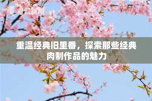 重温经典旧里番，探索那些经典肉制作品的魅力