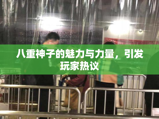八重神子的魅力与力量，引发玩家热议