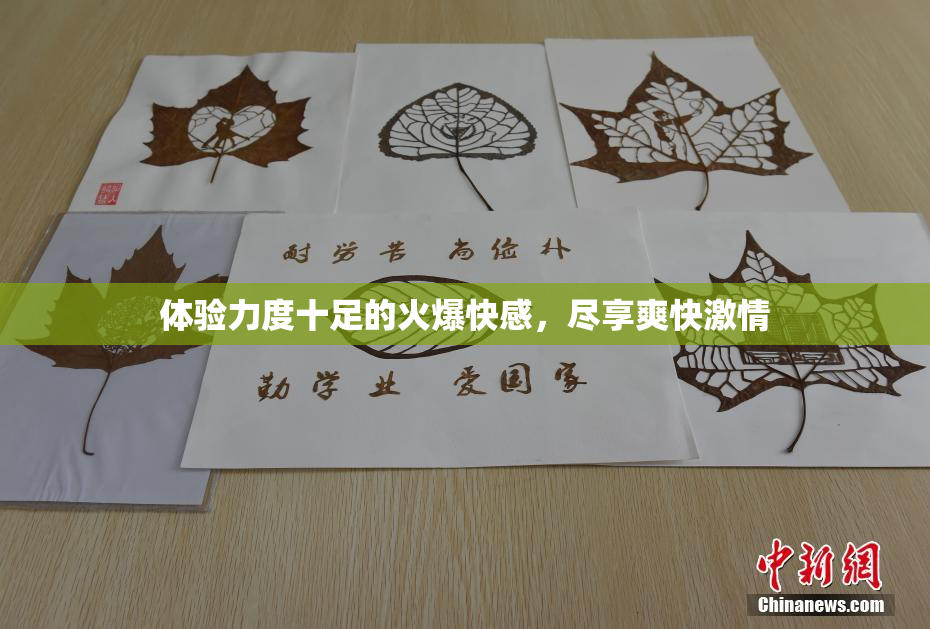 体验力度十足的火爆快感，尽享爽快激情