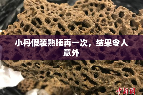 小丹假装熟睡再一次，结果令人意外