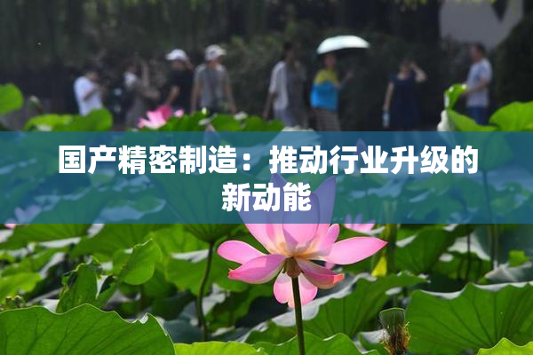 国产精密制造：推动行业升级的新动能