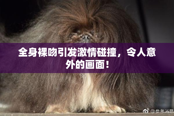 全身裸吻引发激情碰撞，令人意外的画面！