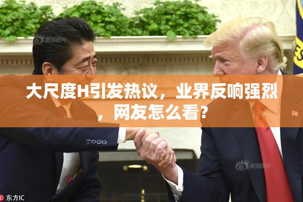 大尺度H引发热议，业界反响强烈，网友怎么看？