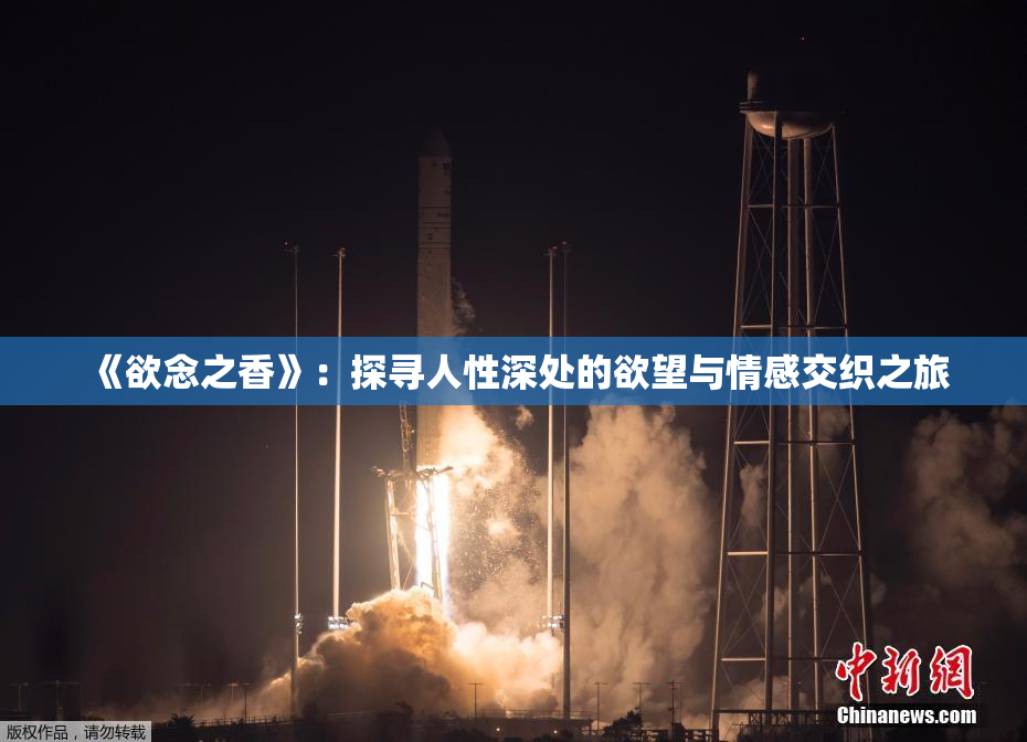 《欲念之香》：探寻人性深处的欲望与情感交织之旅