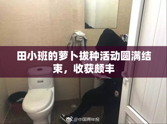 田小班的萝卜拔种活动圆满结束，收获颇丰