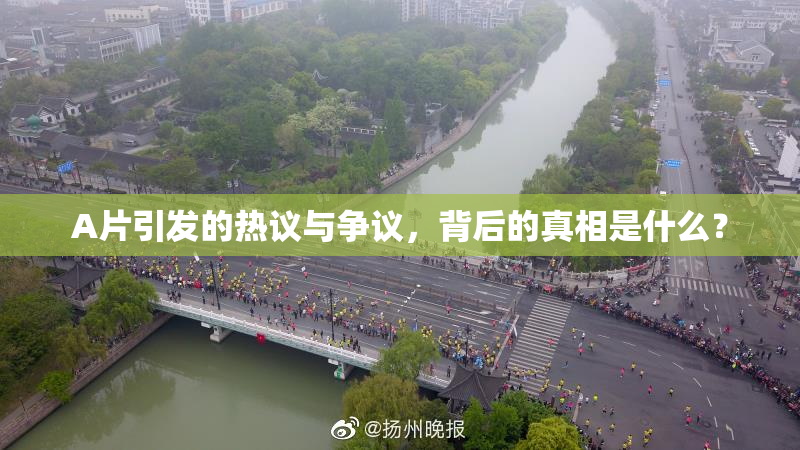 A片引发的热议与争议，背后的真相是什么？