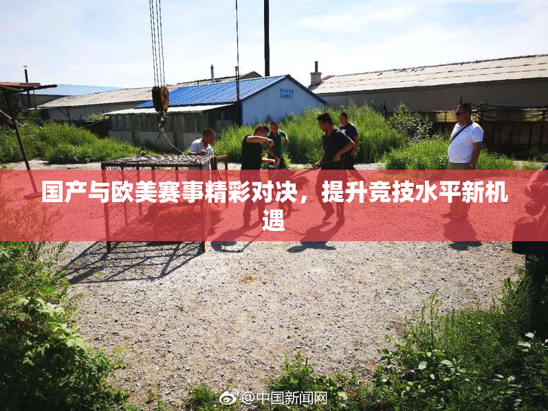 国产与欧美赛事精彩对决，提升竞技水平新机遇